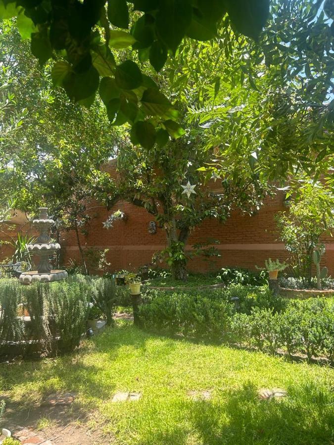 Casa Matia Bed And Breakfast San Miguel de Allende Eksteriør bilde